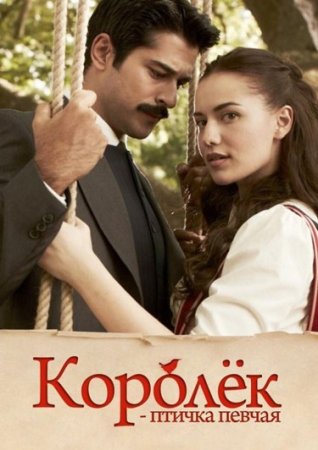 Королек птичка певчая