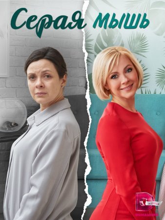 Постер сериала Серая мышь