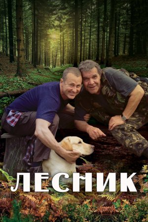 Постер сериала Лесник 1 сезон