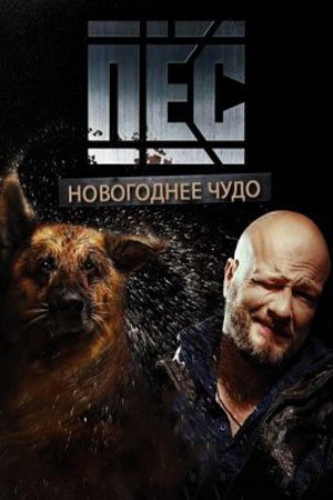 Постер сериала Новогодний Пёс