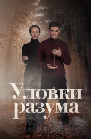 Постер сериала Уловки разума